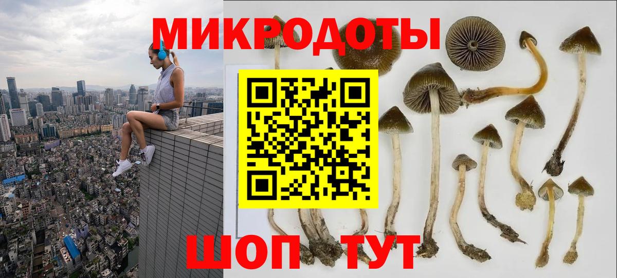 Галлюциногенные грибы Psilocybine cubensis Ялуторовск